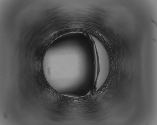 X0000091900821200709191236