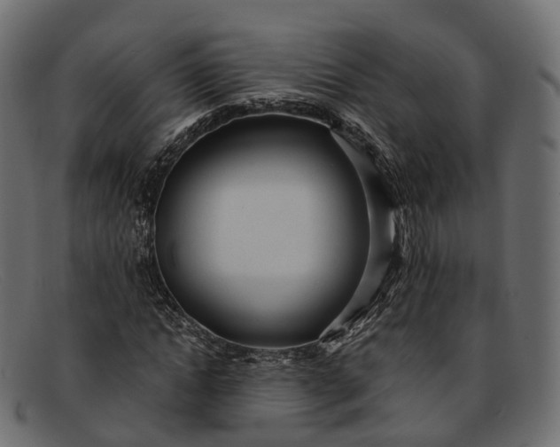 X0000091900822200709191236