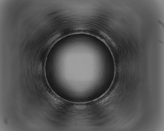 X0000091900825200709191236