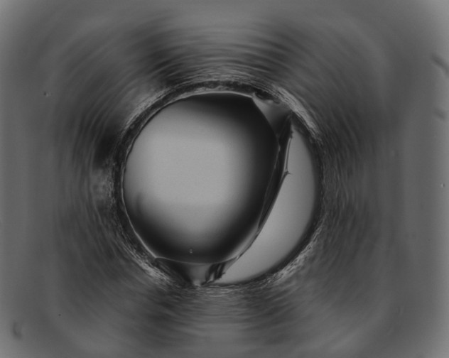 X0000091900826200709191236