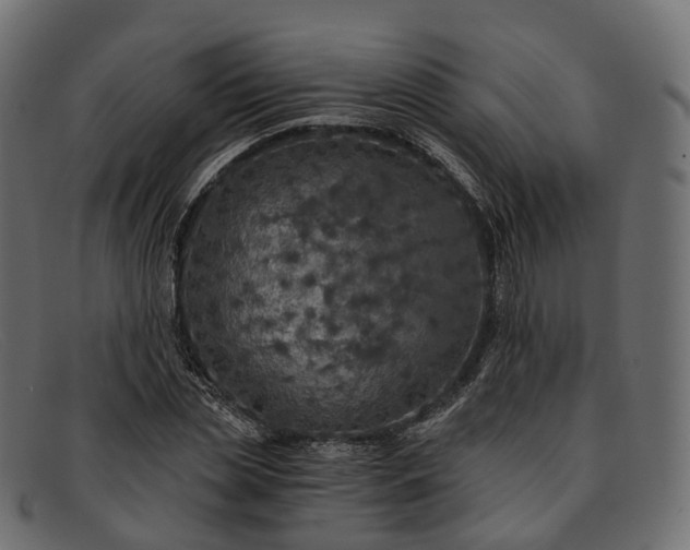 X0000091900829200709191236