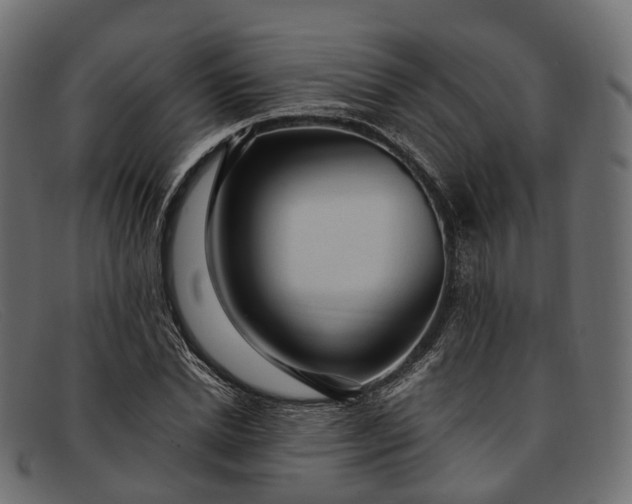 X0000091900830200709191236