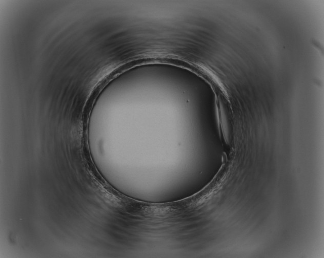 X0000091900831200709191236