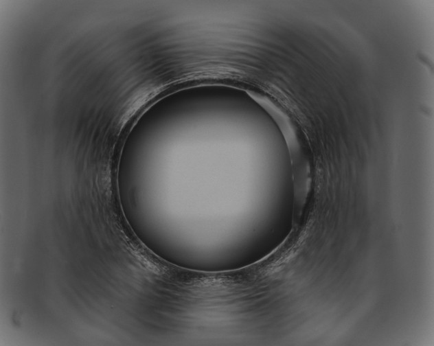 X0000091900834200709191236