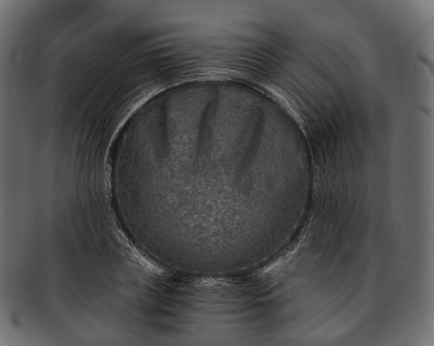 X0000091900835200709191236