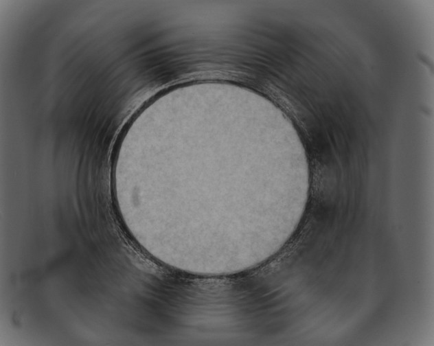 X0000091900836200709191236