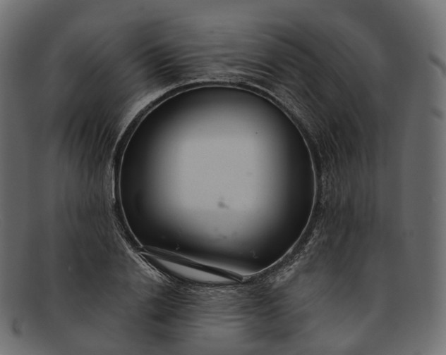 X0000091900838200709191236