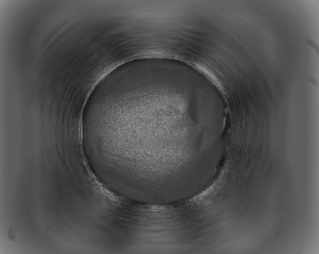 X0000091900839200709191236