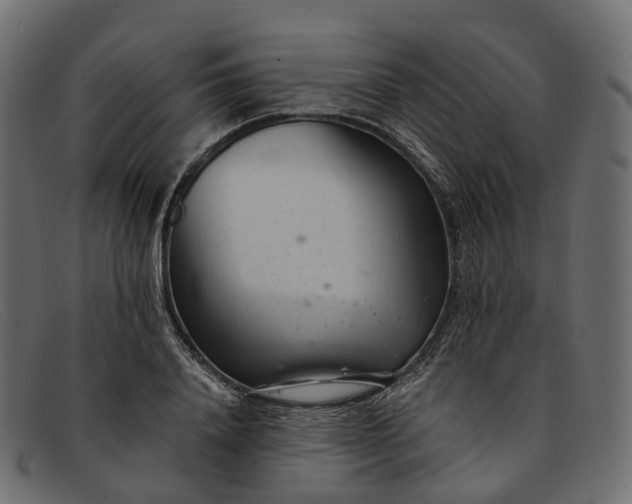 X0000091900840200709191236