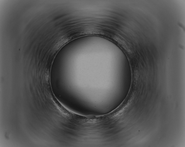 X0000091900841200709191236