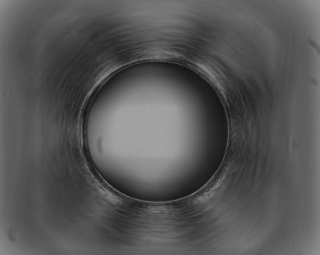 X0000091900843200709191236