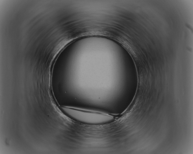 X0000091900844200709191236