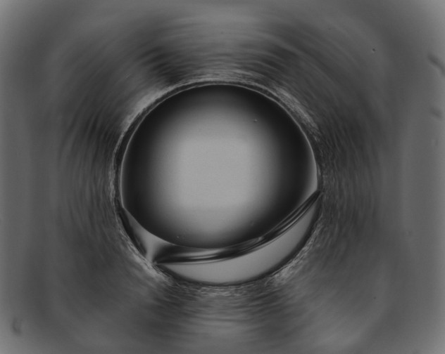 X0000091900846200709191236