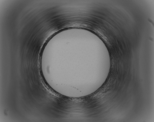 X0000091900848200709191236