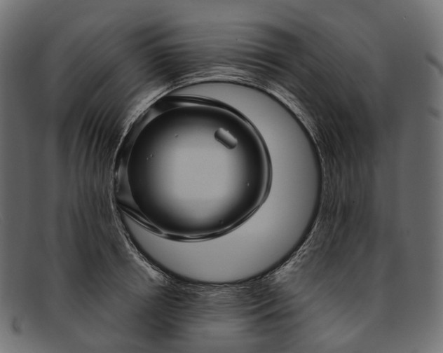 X0000091900850200709191236