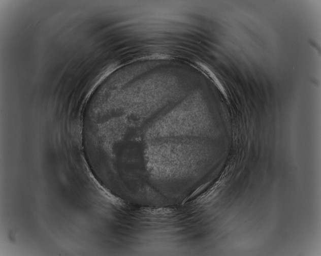 X0000091900851200709191236