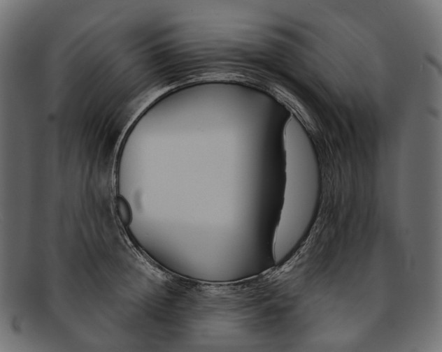 X0000091900852200709191236