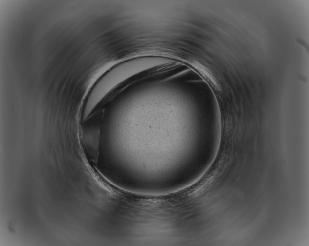 X0000091900854200709191236