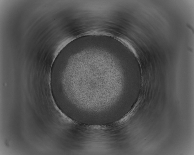 X0000091900855200709191236