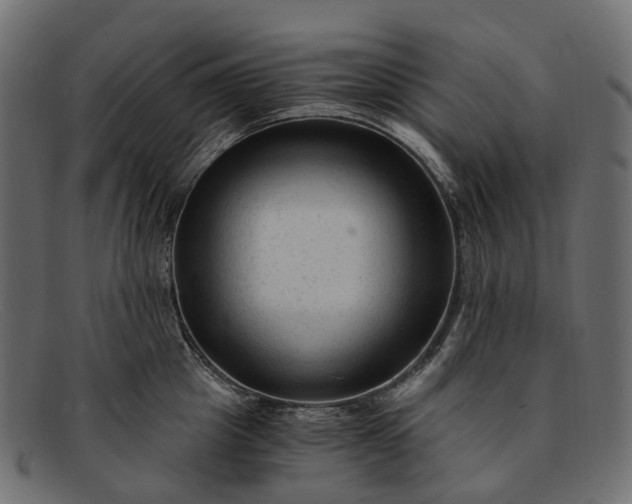 X0000091900857200709191236