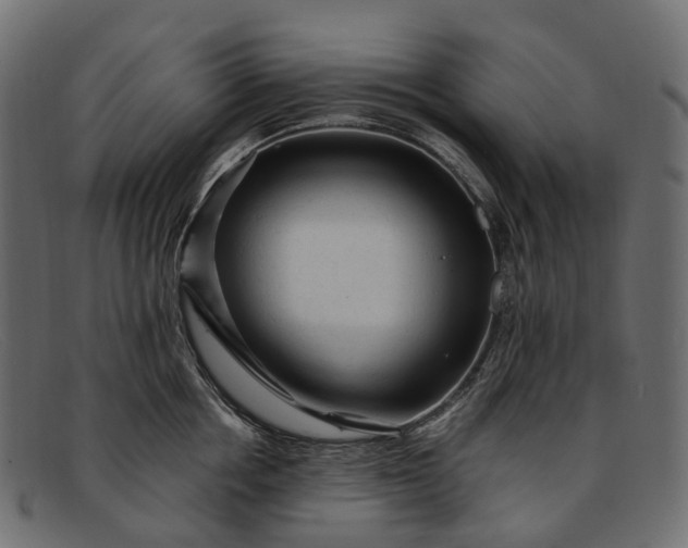 X0000091900858200709191236