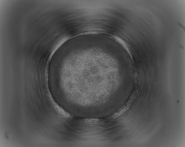 X0000091900859200709191236