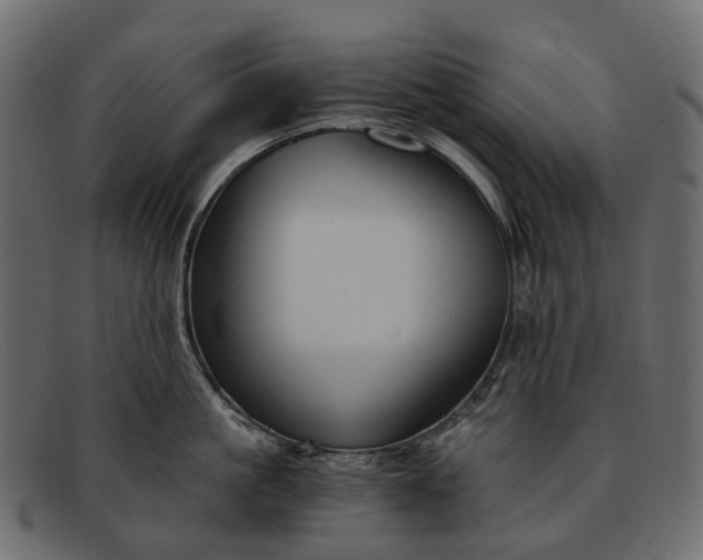 X0000091900861200709191236