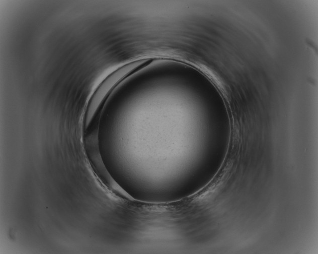 X0000091900862200709191236