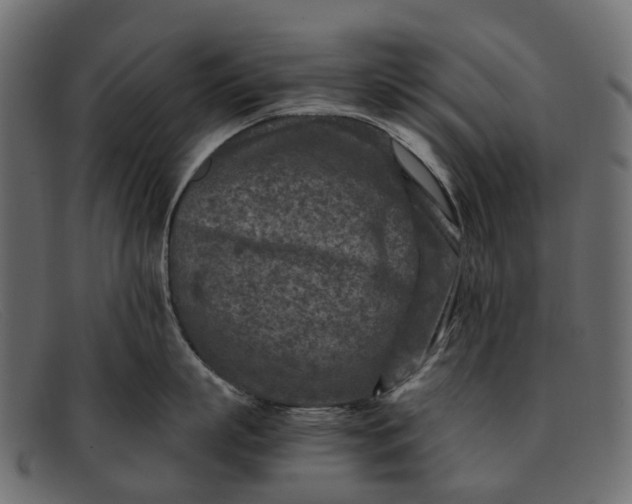 X0000091900863200709191236