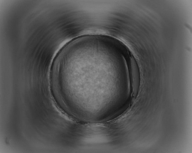 X0000091900864200709191236