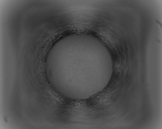 X0000091900865200709191236