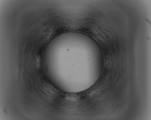 X0000091900866200709191236