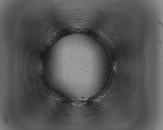 X0000091900867200709191236