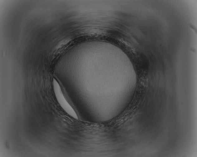 X0000091900869200709191235