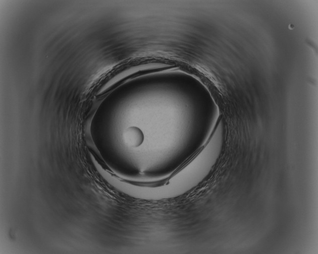 X0000091900872200709191235