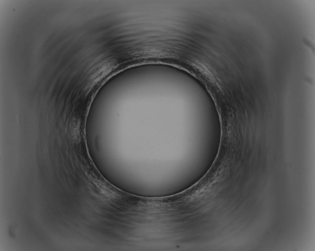 X0000091900873200709191235