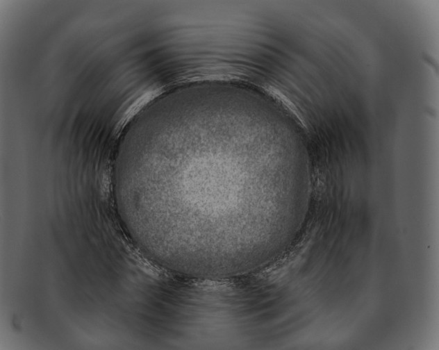 X0000091900874200709191235