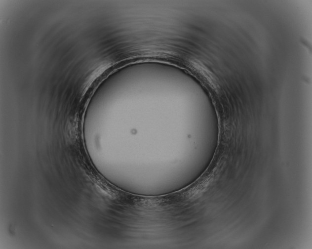 X0000091900875200709191235