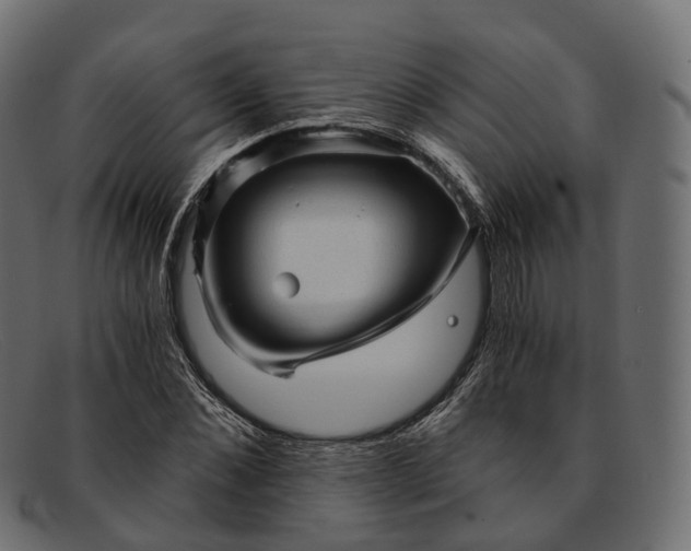 X0000091900876200709191235