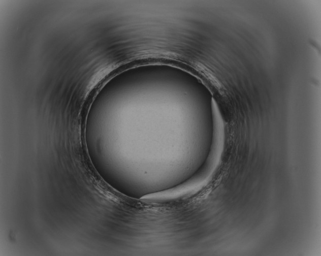 X0000091900877200709191235