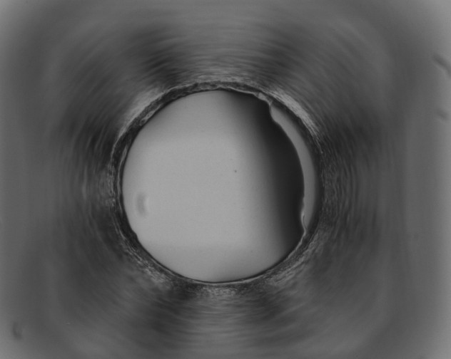 X0000091900878200709191235