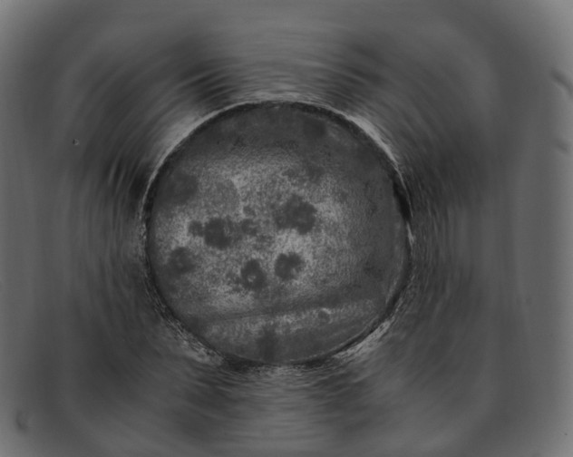 X0000091900879200709191235