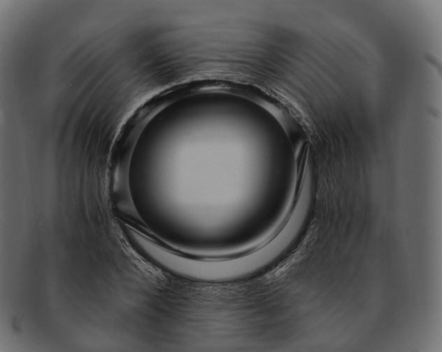 X0000091900880200709191235