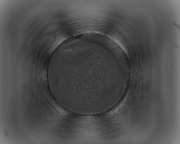 X0000091900881200709191235