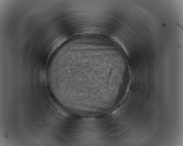 X0000091900882200709191235