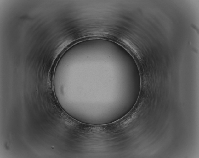 X0000091900883200709191235