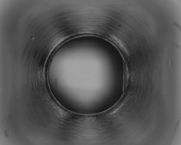 X0000091900884200709191235