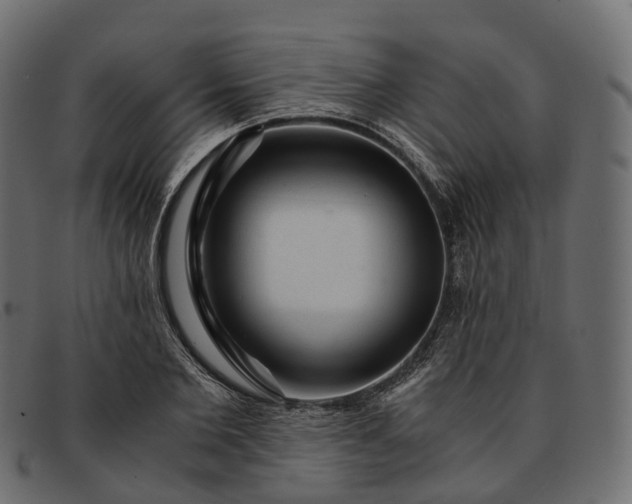 X0000091900885200709191235