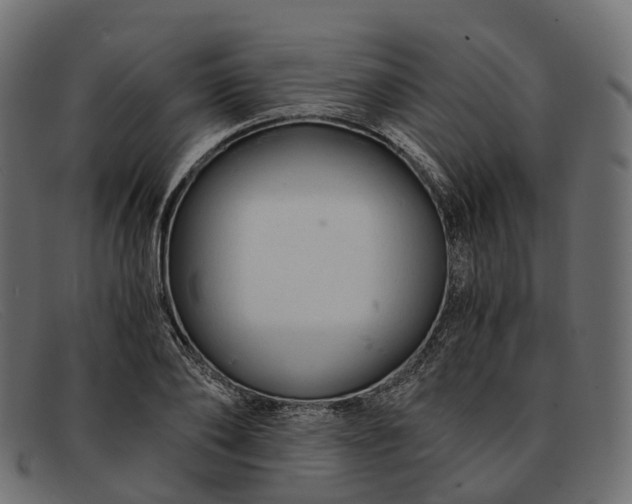 X0000091900886200709191235