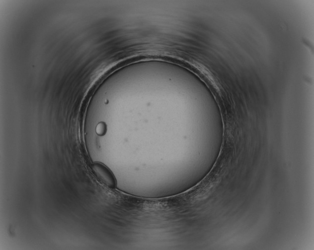 X0000091900887200709191235